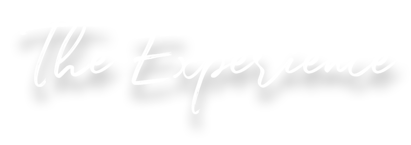 alessa - the experience - textimg